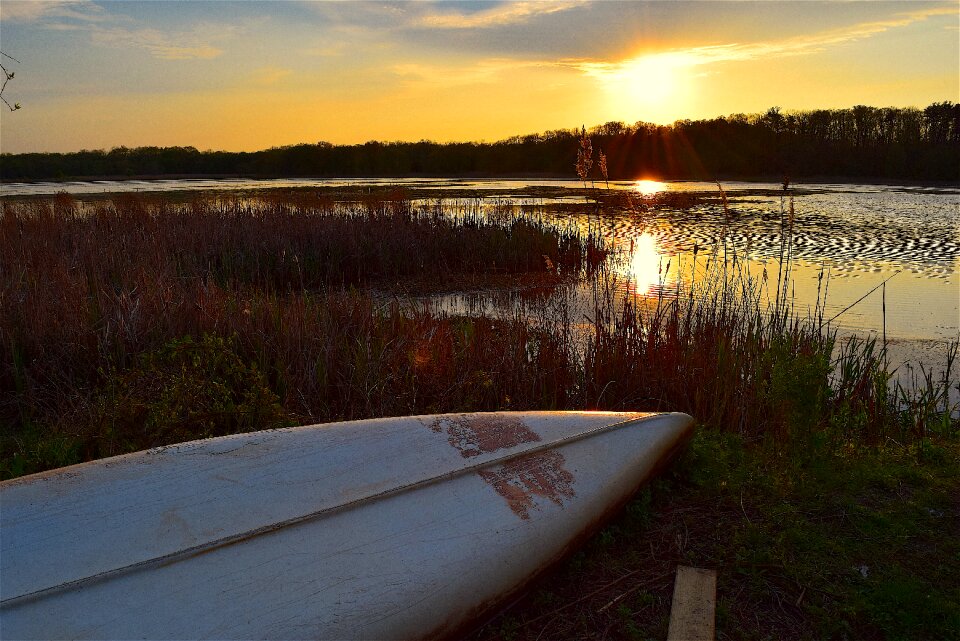 Sun water sky