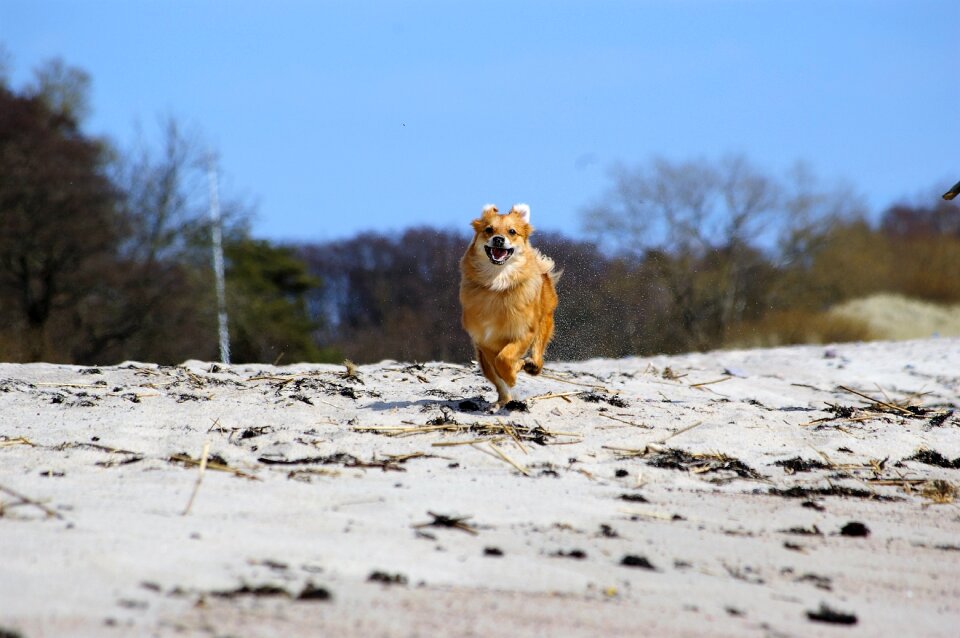 Joy in a hurry post haste
