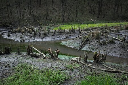 The destruction of the marsh wetlands