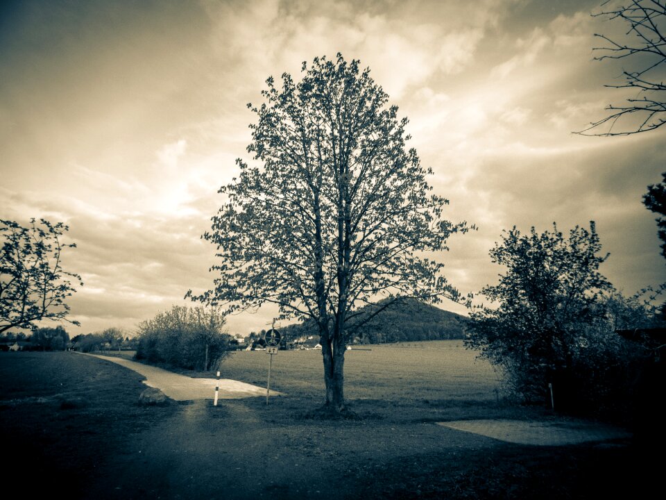 Crown atmosphere dusk nature