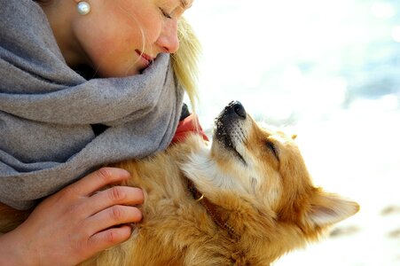 Dog girl relaxed