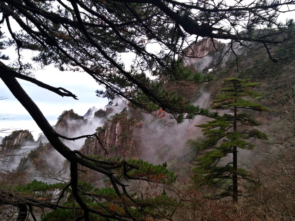 Sulfuric acid pine valley