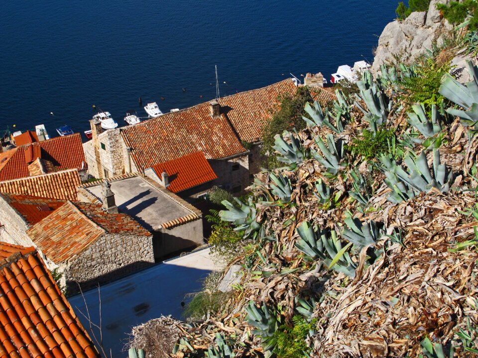 Seaview vegetation mediterranean