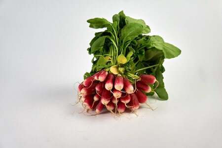 Food vegetables dietetic