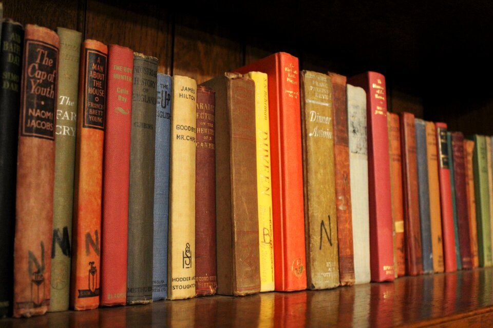 Library read literature