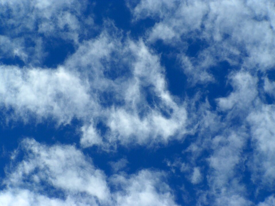 Blue nature texture