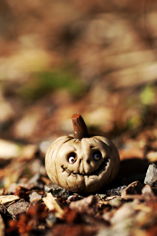 Season tiny small