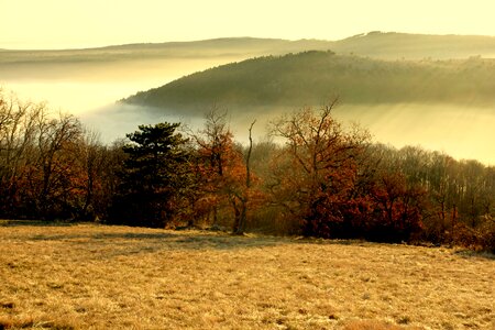 Prato nature colors