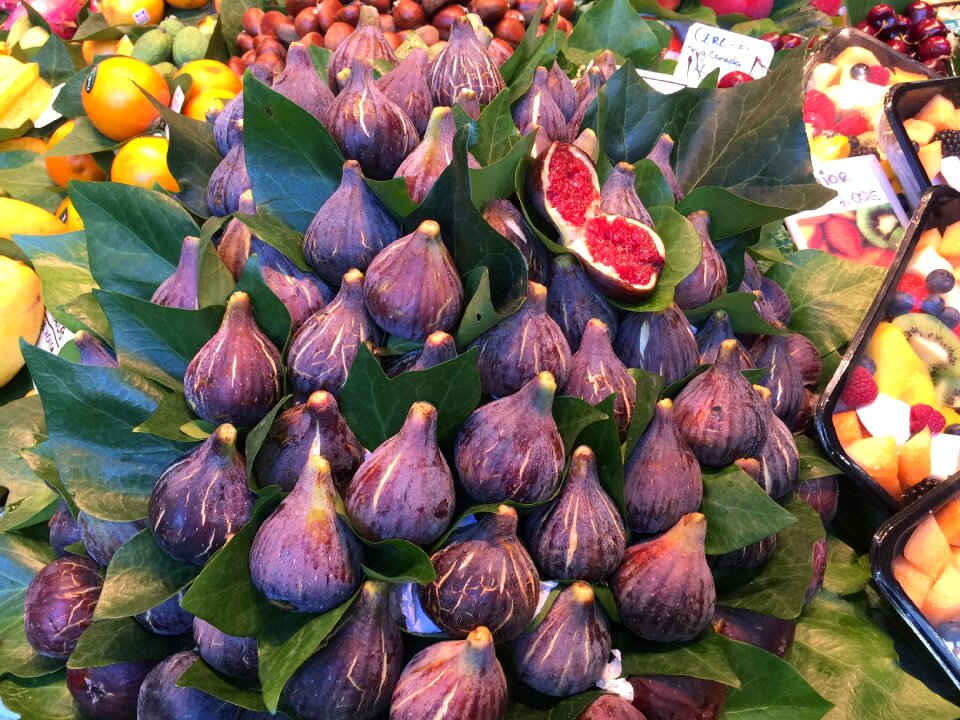 Colorful purple ripe