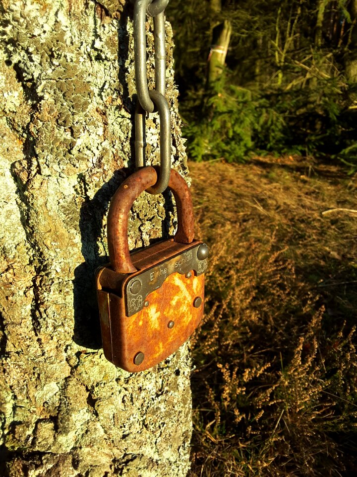Rust elder rusted
