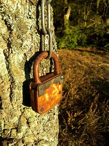 Rust elder rusted