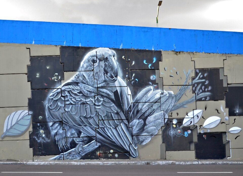 Amazon graffiti mural