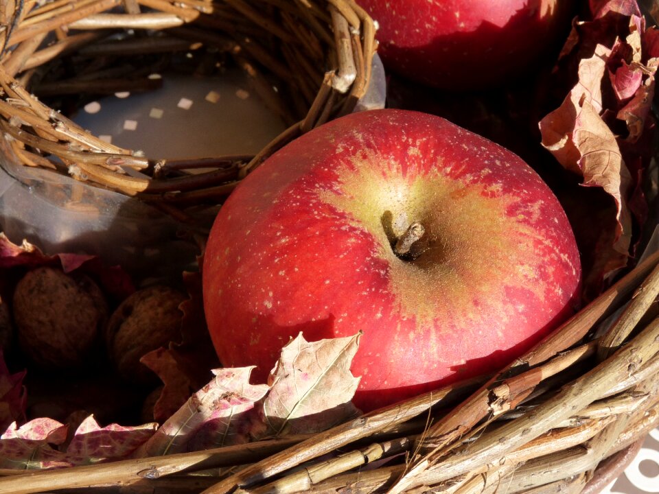Basket ripe late summer
