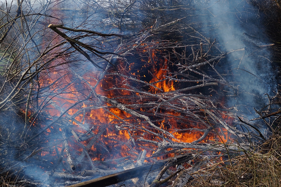 Fire smoke Free photos
