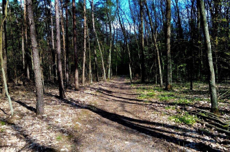 Green spacer reserve