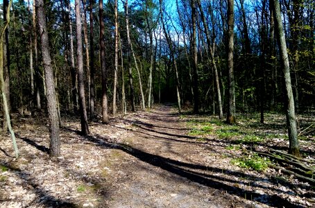 Green spacer reserve