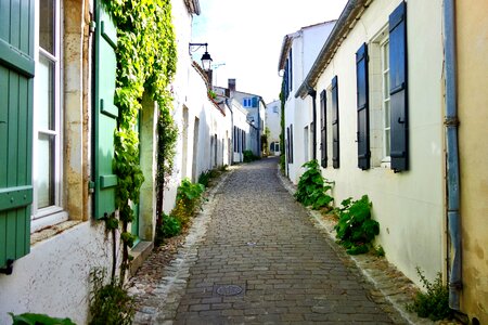 Pavers sweet peas french village