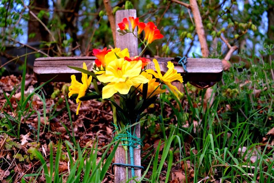 Remember accident cross