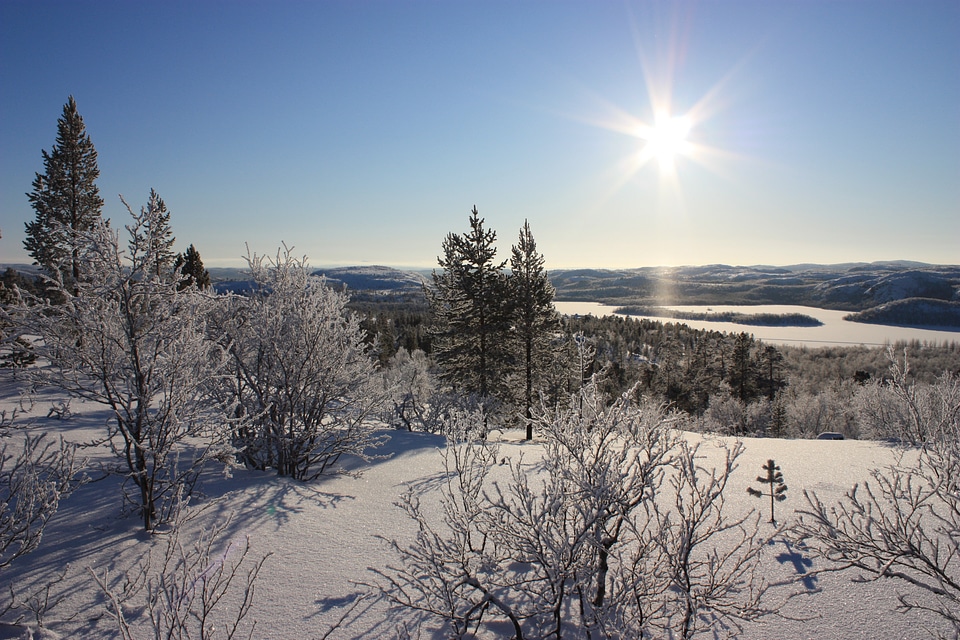 The nature of the landscape views