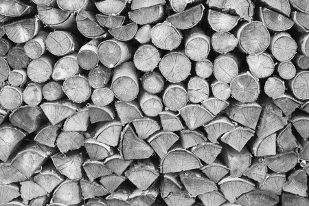 Growing stock holzstapel firewood stack photo