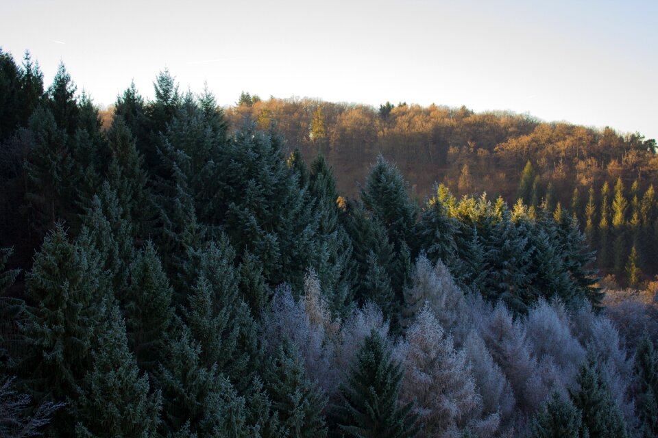Hiking nature sunbeam