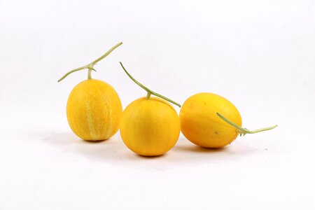Yanggu melon korea yellow course