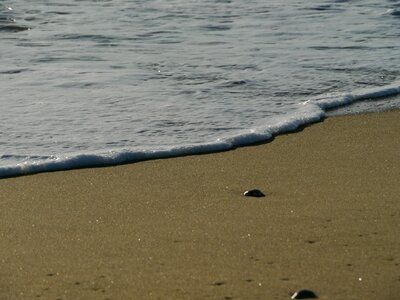 Shore sea holiday