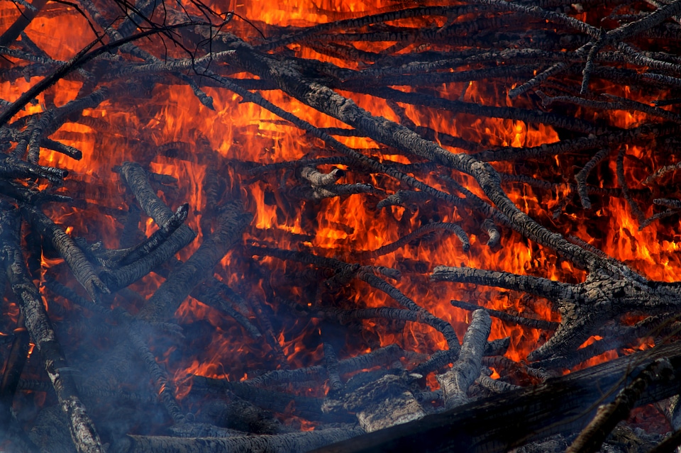 Fire smoke Free photos