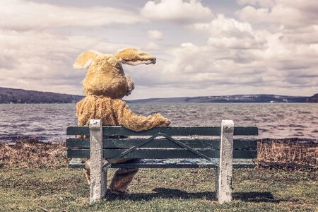 Rabbit costume view