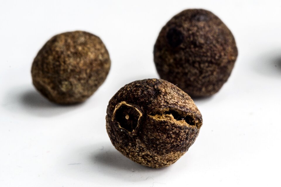 Pepper macro detail