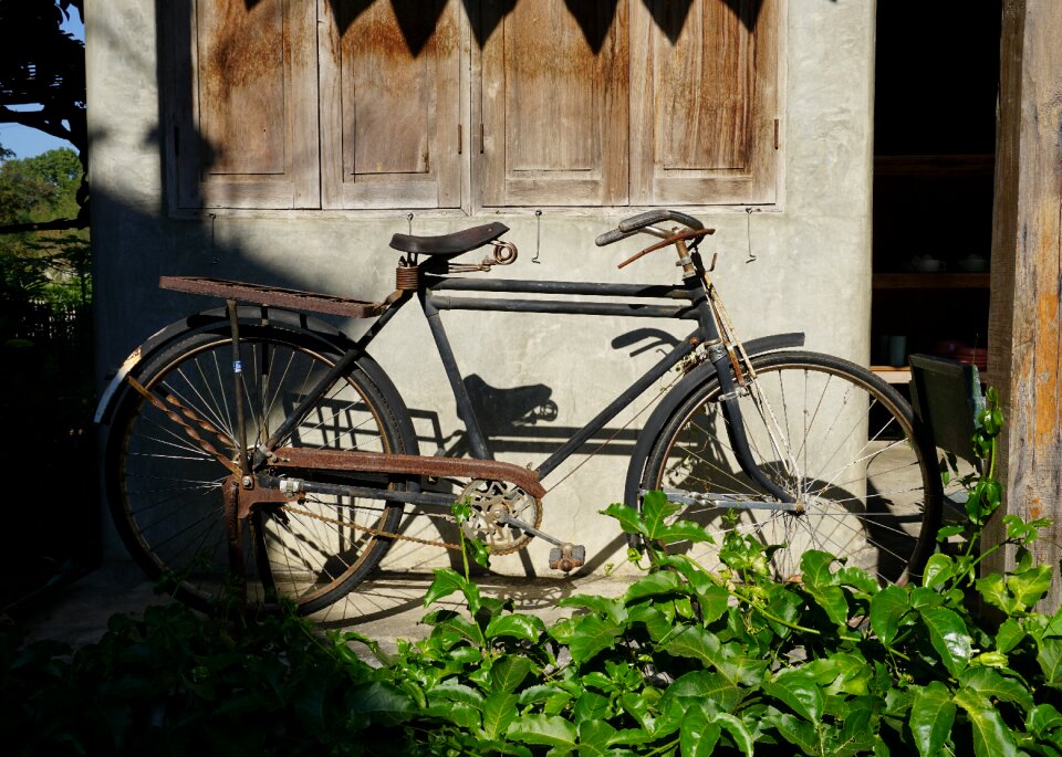 Retro antique lifestyle