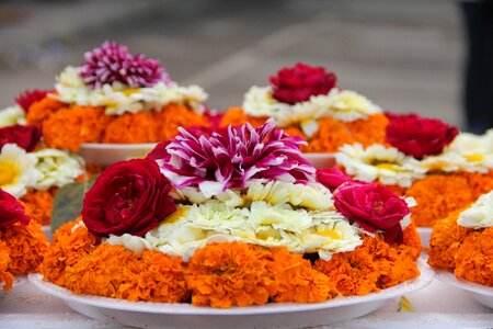 Flowers miss beautiful