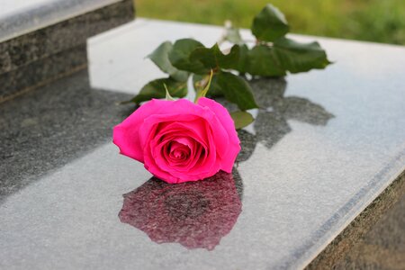 Grave symbol love photo