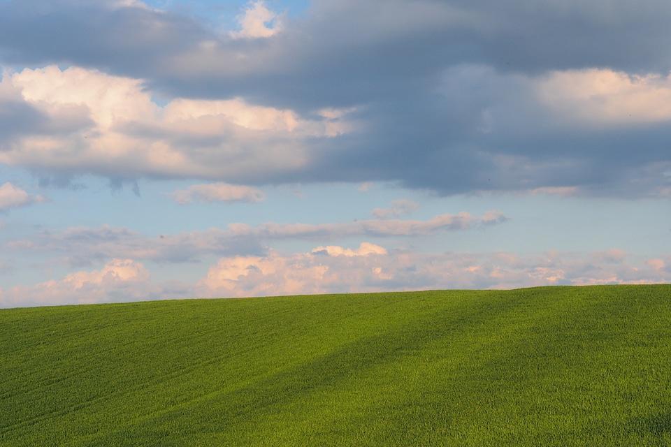 Landscape view green