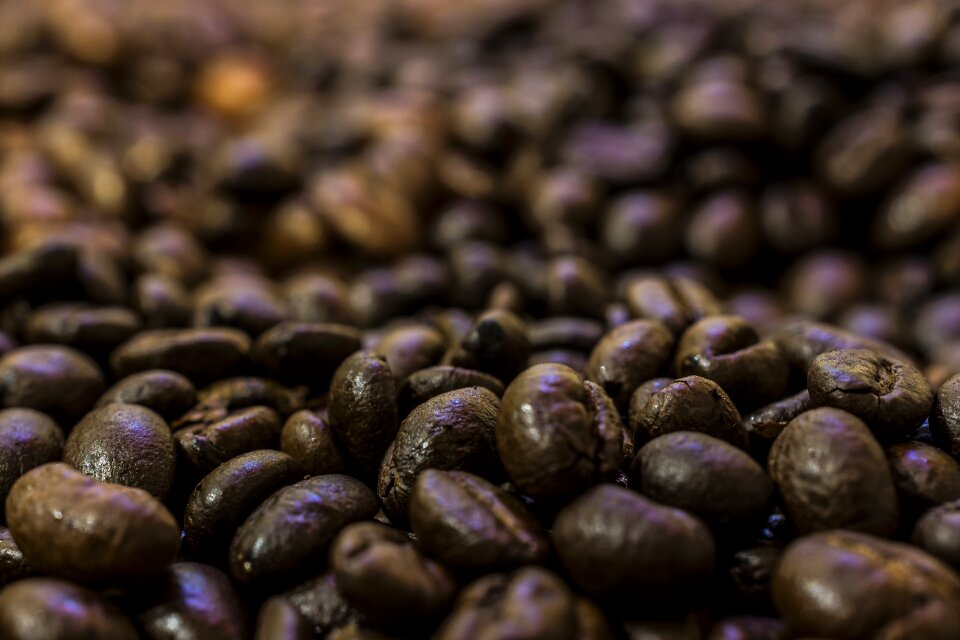 Espresso coffee cup roasting