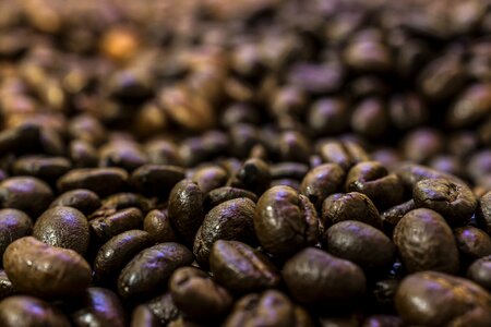 Espresso coffee cup roasting photo