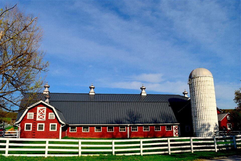 Agriculture fence country