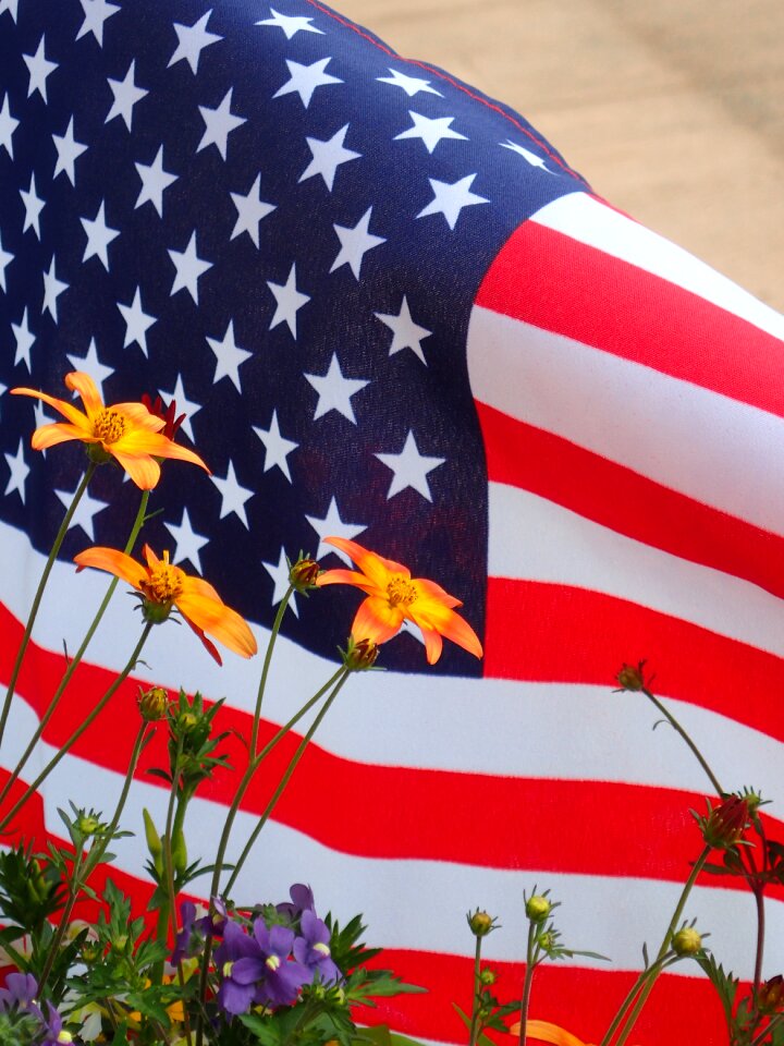 Flag american red