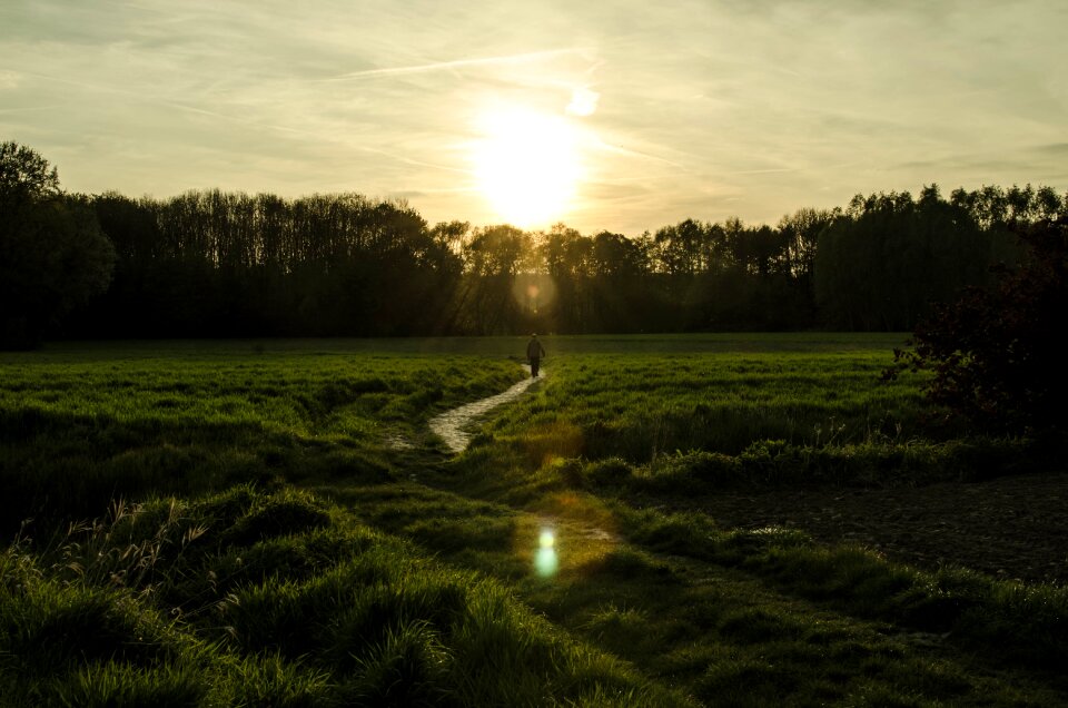 Sun landscape nature