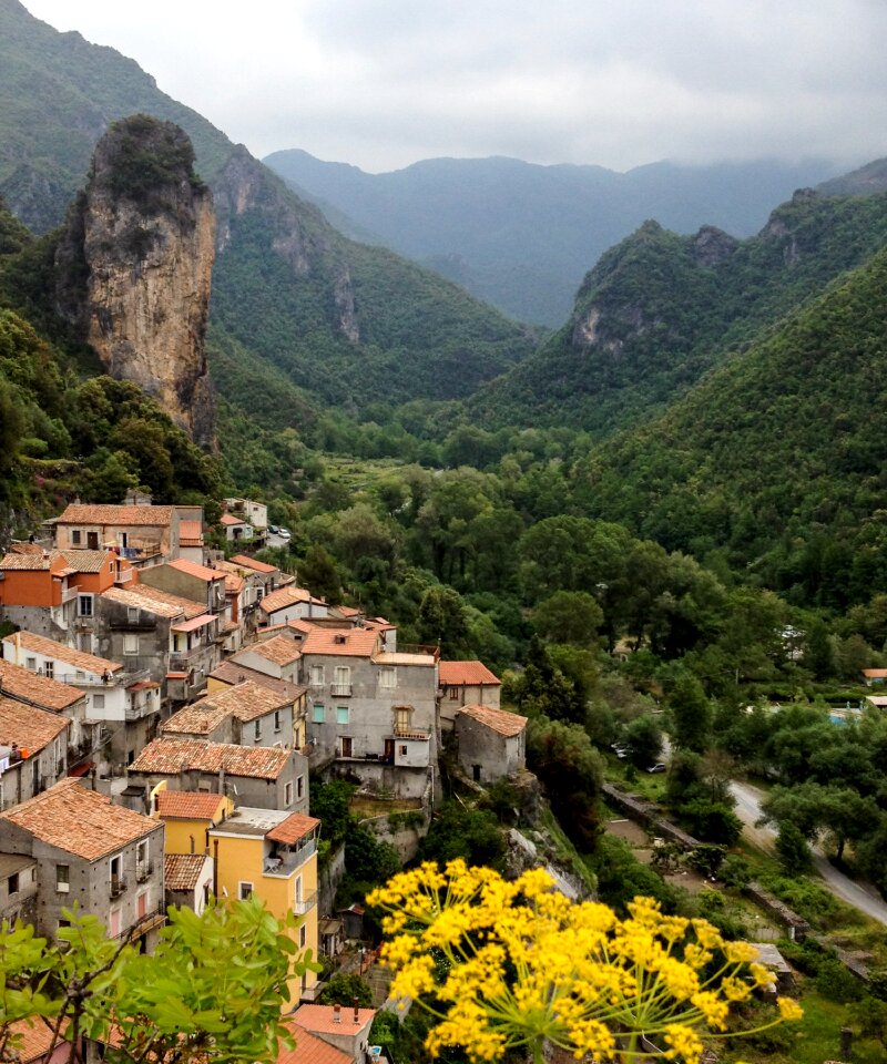 Pollino pollino national park forest