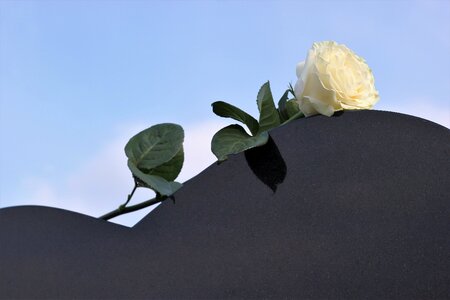 Loving memory missing remembering