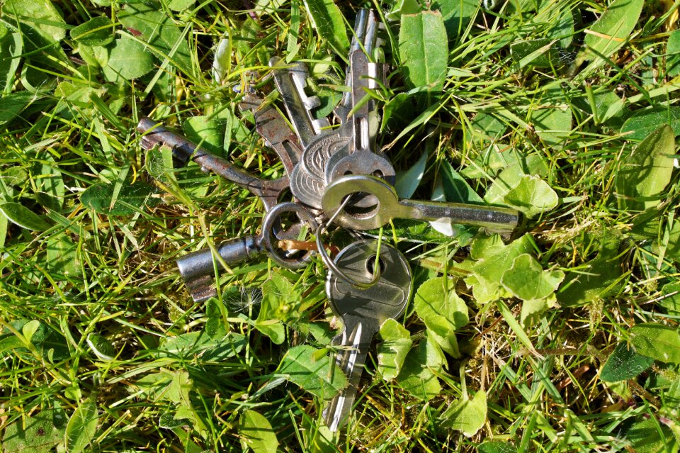 House keys grass meadow