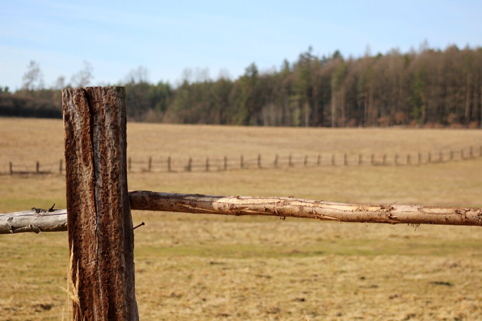 Meadow fences trees