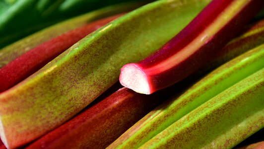 Vegetables rhabarber red crop photo