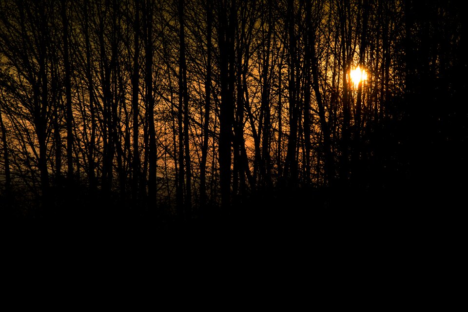 Morning morgenstimmung sunlight