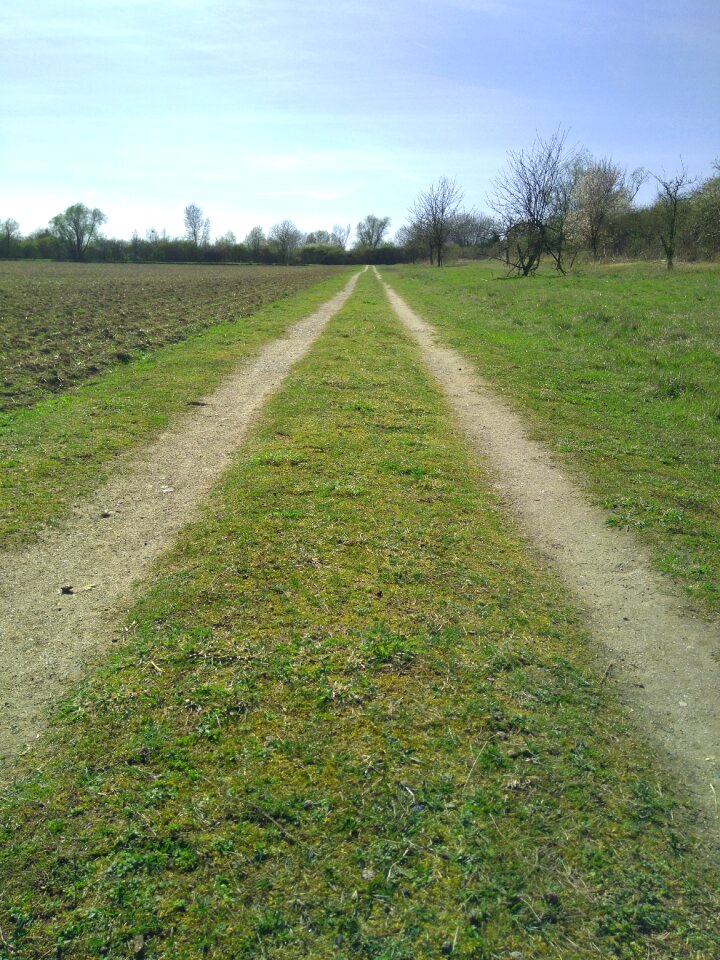 Path farm lane country lane