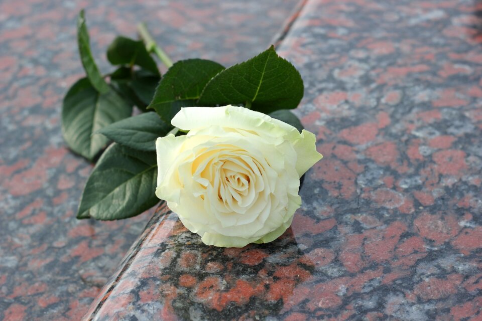 Love missing remembering