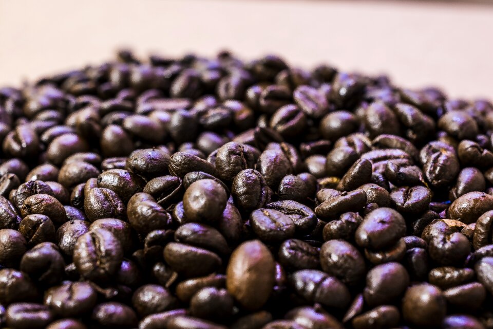 Espresso coffee cup roasting