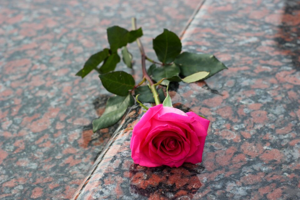 Grave symbol love