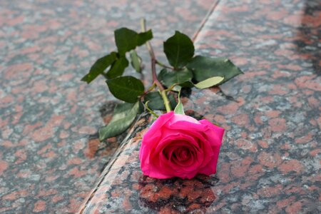 Grave symbol love photo